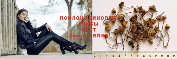 стаф Инсар