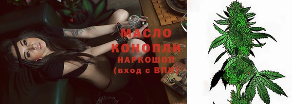 стаф Инсар