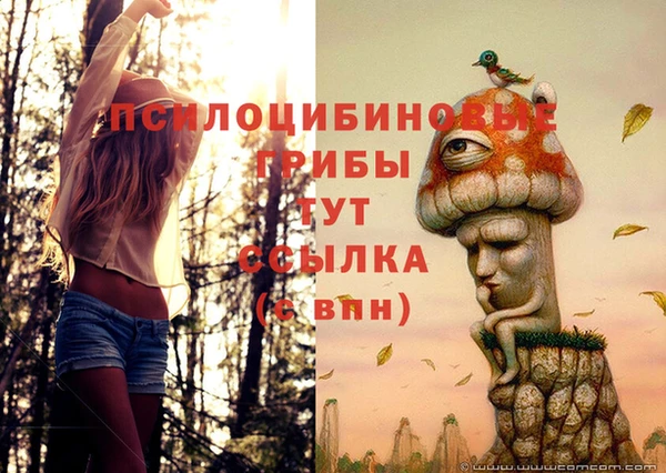 стаф Инсар