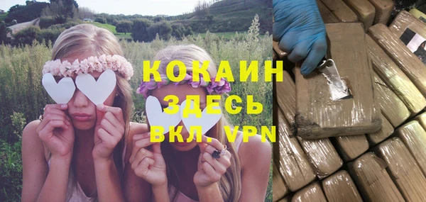 стаф Инсар