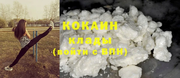дживик Иннополис