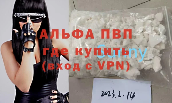 стаф Инсар