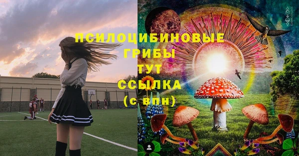 стаф Инсар