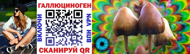 Купить закладки  Дудинка  Псилоцибиновые грибы Psilocybine cubensis 
